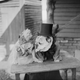 Illustration for article titled Vintage Photos Reveal Century-Long Obession with Dressing Up Pets